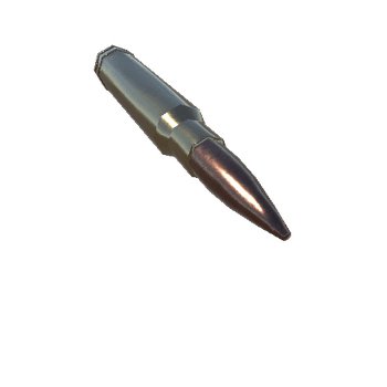 300 Winchester Magnum Round_1_2